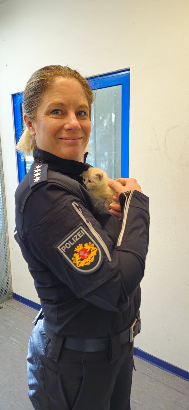 POL-HB: Nr.: 0241 --23 Katzen, zwei Kartons und viele Fragen--