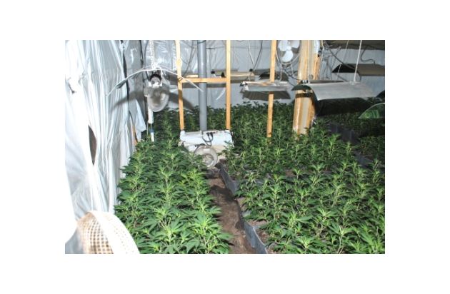 POL-REK: Cannabisplantagen aufgefunden - Hürth