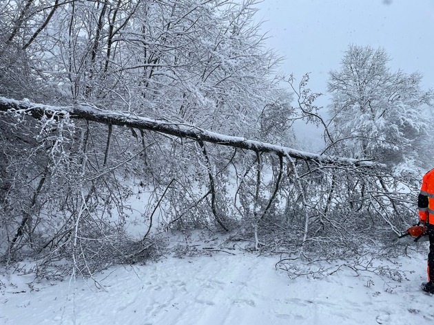 FW-EN: Schneebedingte Einsätze