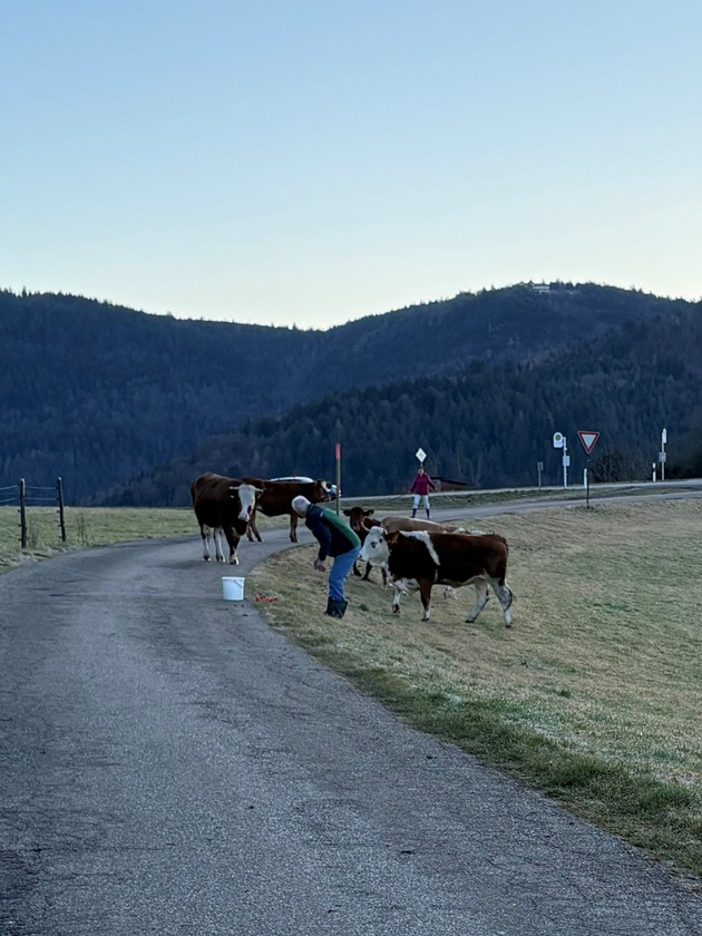 POL-OG: B&uuml;hlertal, Schutterwald - Auf Trab gehalten - Mit guten Nachrichten ins Wochenende