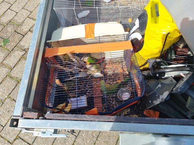 BPOL NRW: Bundespolizei stoppt illegalen Tiertransport von Sittichen