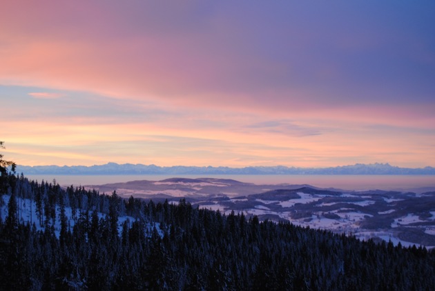 Stille Landschaft - wilder Tanz / Winterurlaub im Bayerischen Wald