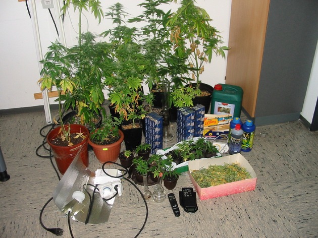 POL-HI: 33-jähriger Hildesheimer baut Cannabis an