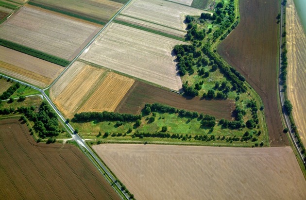 BUND: "Naturschutzprojekt Deutsche Einheit": Grünes Band immer bekannter und beliebter / BUND veröffentlicht Umfrage zum größten deutschen Biotopverbund