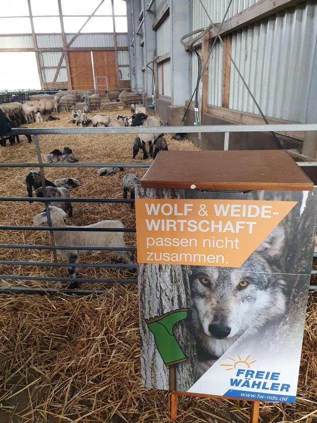 FREIE WÄHLER: Wolf nach dem Vorbild von Schweden endlich bejagen