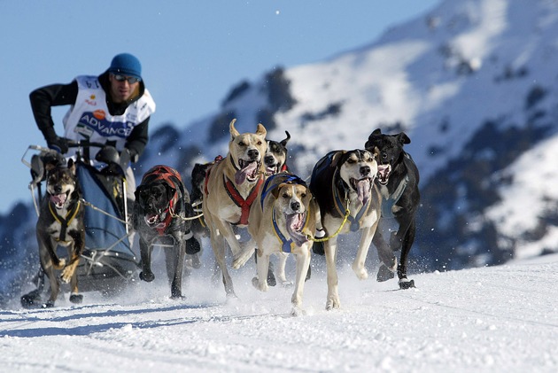 Schlittenhunderennen Pirena 2006: Spanier bricht deutsche Siegesserie