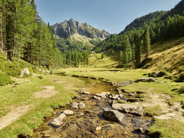 Quietcation im Trentino