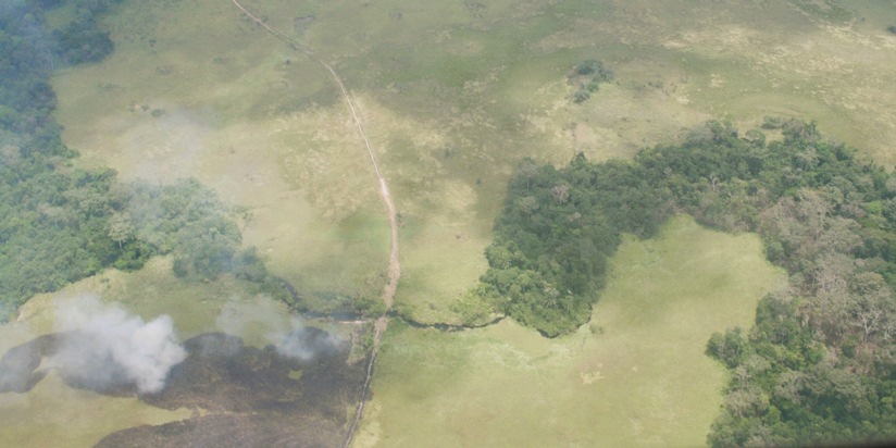 Medienmitteilung: Globale Studie: Potenzial für natürliche Vegetationen vielfältiger als gedacht