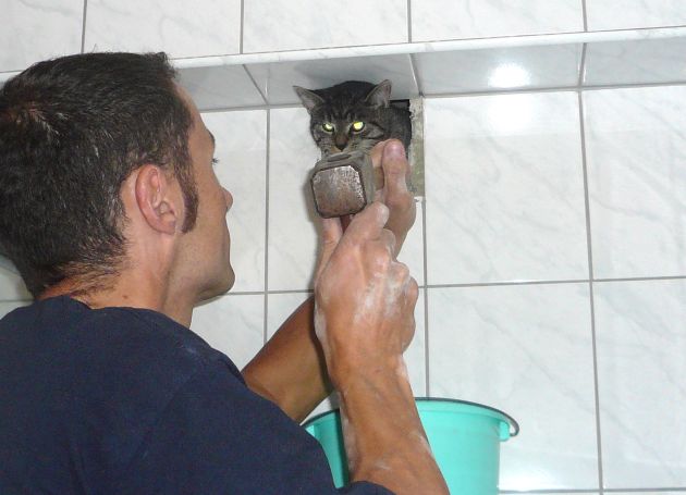 FW-E: Katze in Lüftungsschacht gefangen, aufwändige Rettung durch Essener Feuerwehr