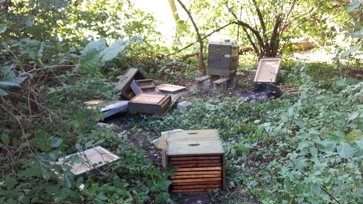 POL-NE: Bienenvolk durch Brand zerstört - Kripo ermittelt