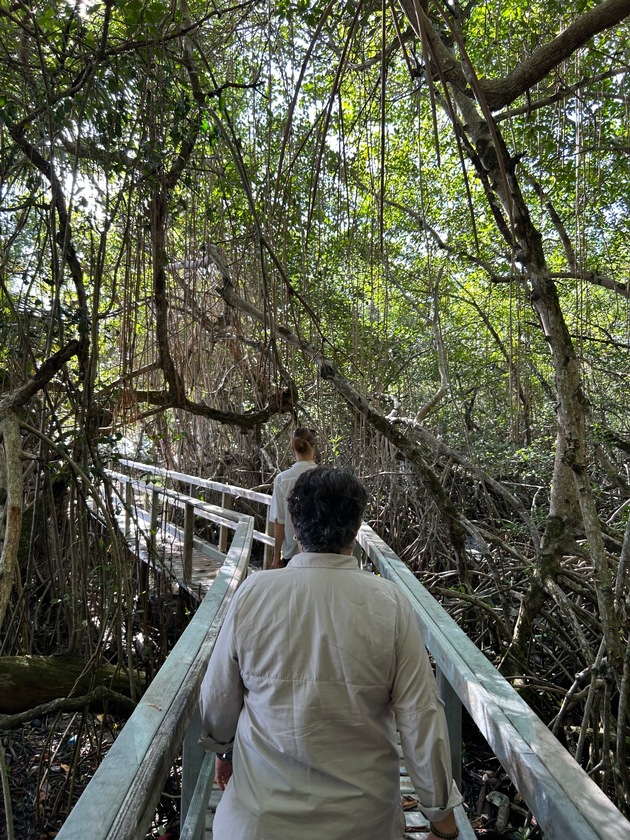 Gemeinsames Mangroven-Projekt: GNF und TUI Care Foundation f&ouml;rdern Klima- und K&uuml;stenschutz