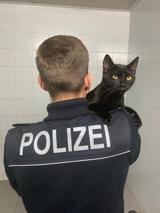 BPOL-HH: Katze ausgebüxt - Bundespolizei Hamburg findet &quot;Blacky&quot; und führt Frauchen und Katze wieder zusammen