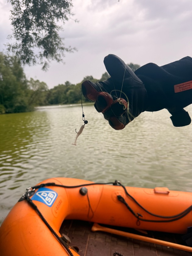 FW-DT: Jungschwan aus misslicher Lage gerettet