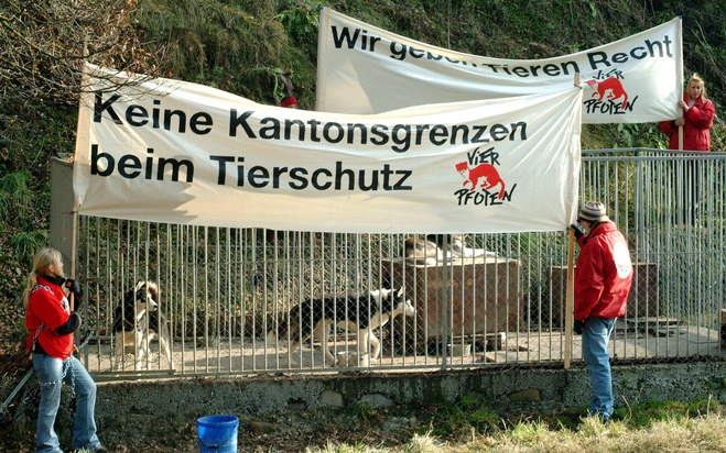 VIER PFOTEN fordert besseres Tierschutzgesetz: Tierschutzfall in Flüeli LU gelöst