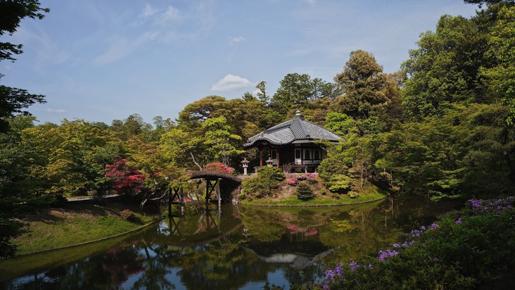 Alla scoperta dei giardini attraverso le oasi verdi più belle del Giappone