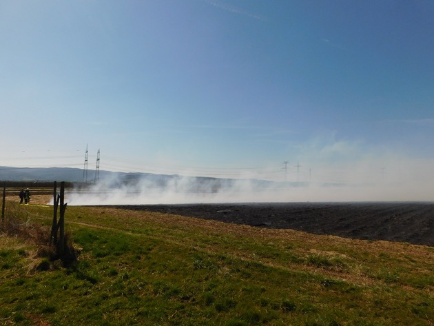 POL-PDMY: Grafschaft-Oeverich: Brand eines Erdbeerfeldes