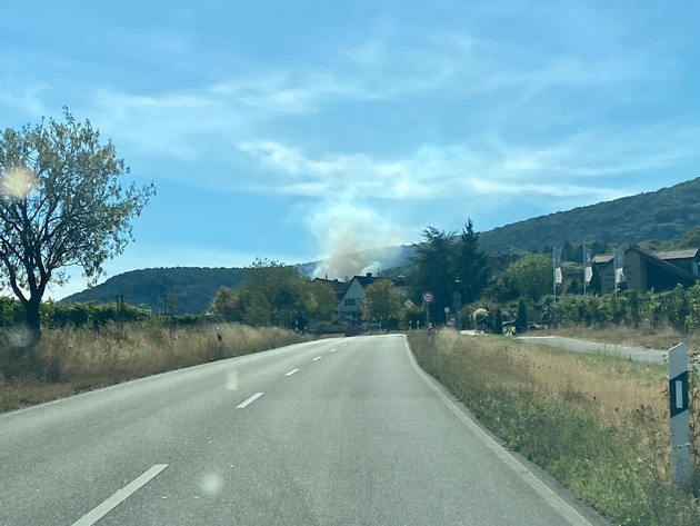 POL-PDLD: Waldbrand in Gleisweiler