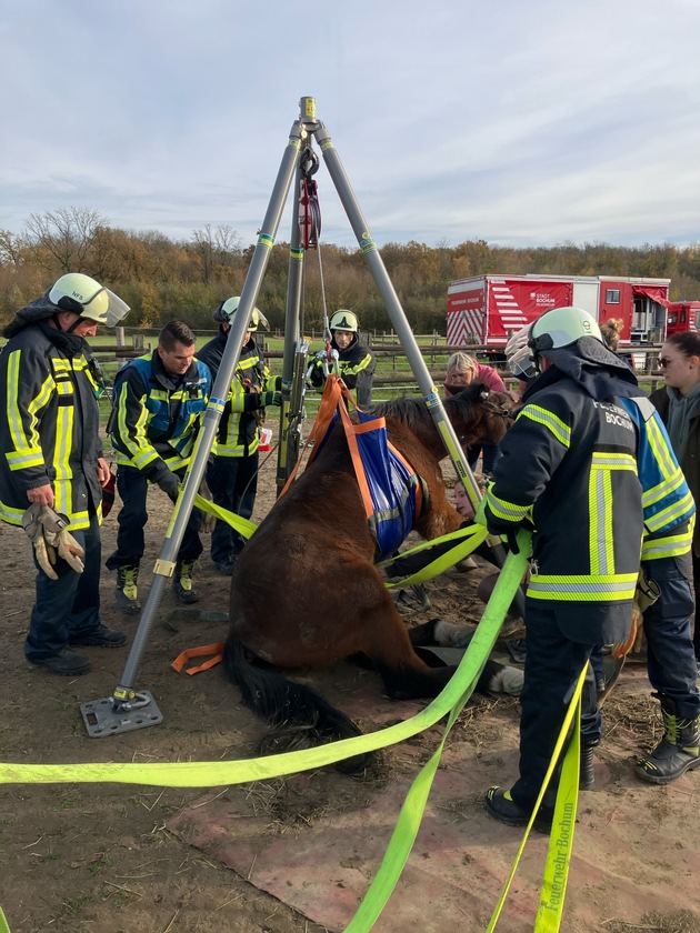 FW-BO: Pferderettung in Sevinghausen