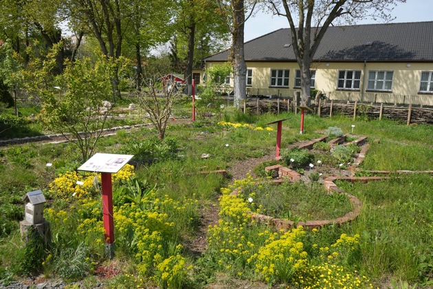 Berlin-Schöneweide: Was bringt schon eine Blumenwiese? 🌿🌸🐝