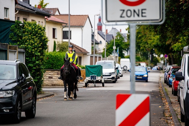 Pferde im Straßenverkehr / ADAC gibt Tipps zur Sicherheit von Tier und Reiter