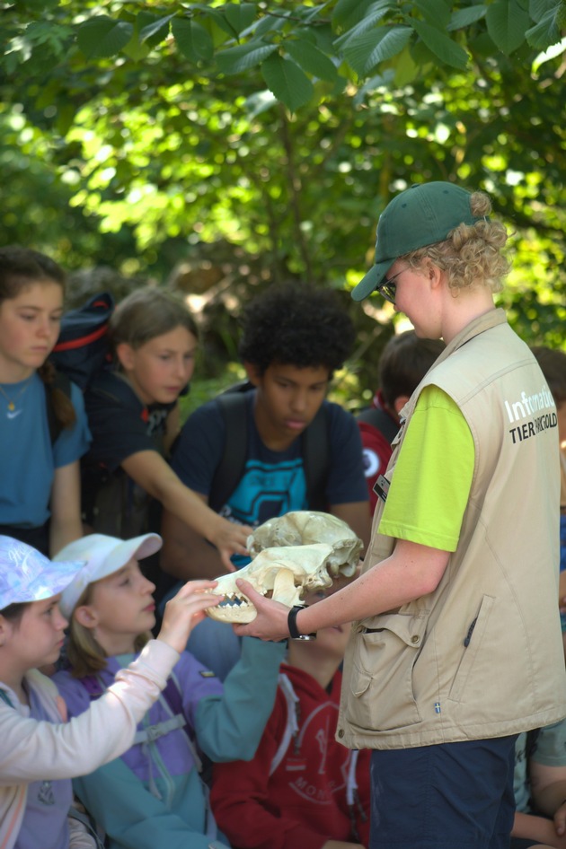 Tierische Projekttage für 600 Schulkinder