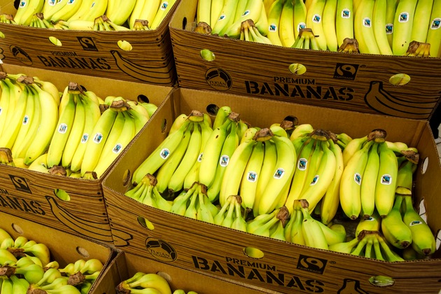 100 Prozent faire Bananen: Lidl stellt als erster Händler sein Sortiment um / Lidl führt sukzessive konventionelle Bananen mit Fairtrade-Zertifizierung ein