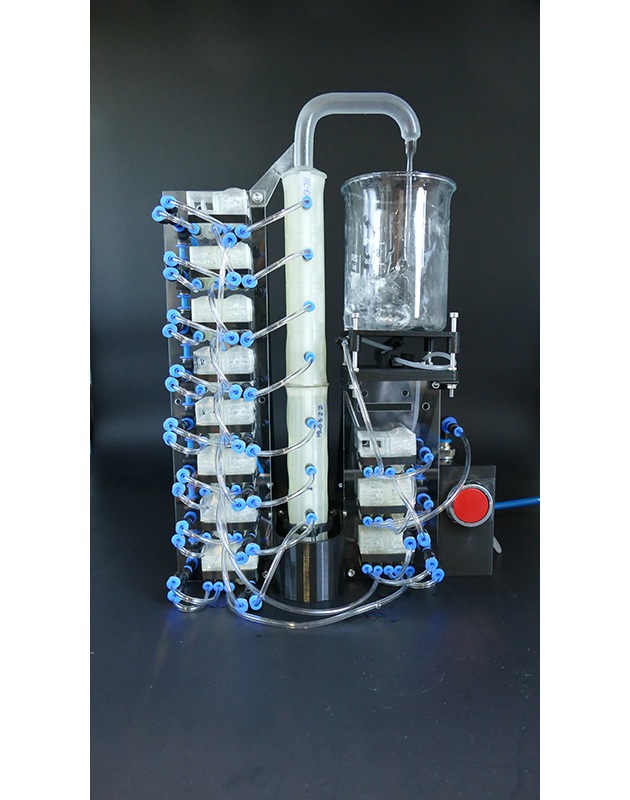 3D-gedruckte pneumatische Module ersetzen elektrische Steuerung in Softrobotern