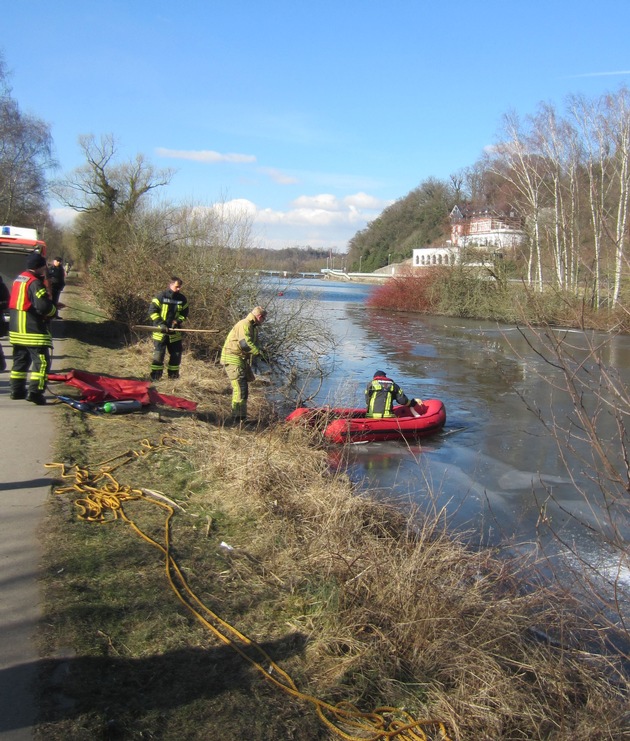 FW-MH: Verletzter Schwan im Eis - Tierrettung an der Ruhr #fwmh