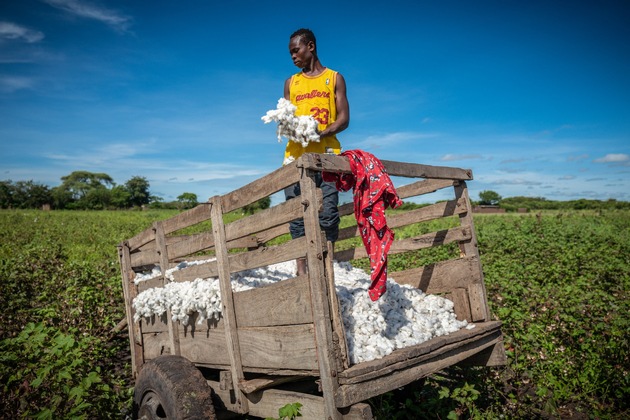 AbTF veröffentlicht Ergebnisse unabhängiger Kontrollen zu Cotton made in Africa-Standards