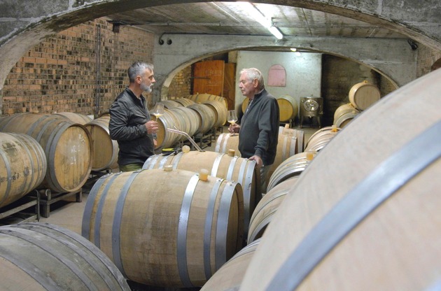 ARD History: &quot;Der große Weinskandal - Panscher und Profit&quot;