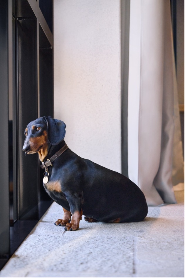 BelArosa Chalet: Fünfsterne-Service für Fellnasen