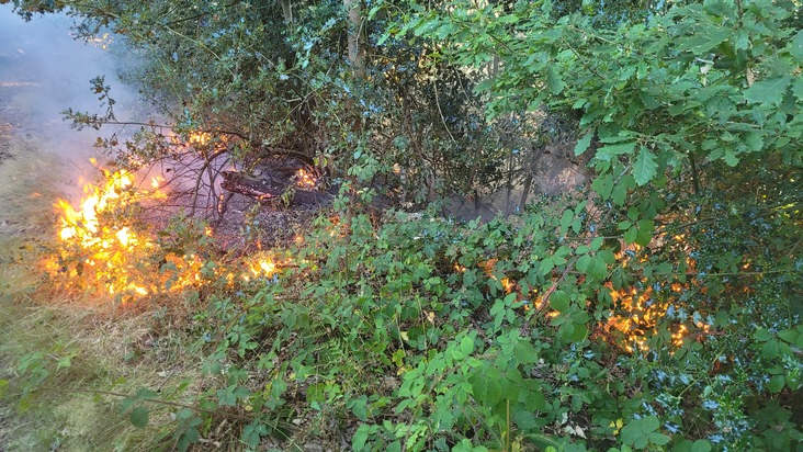 FW-EN: Waldbrand und mehrere Einsätze für die Feuerwehr