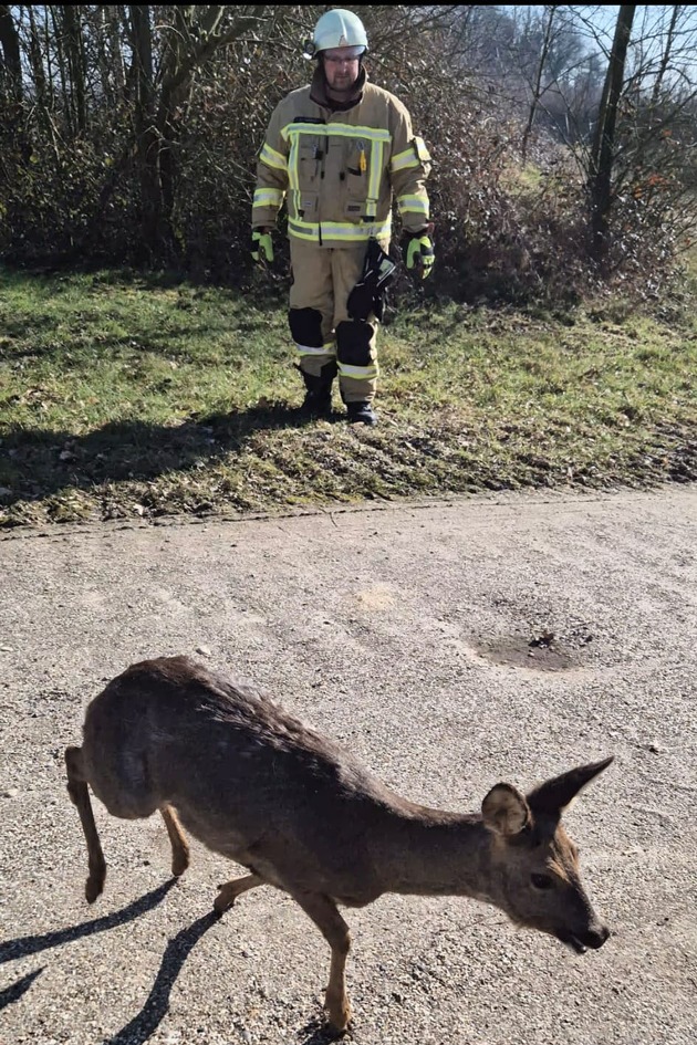 Feuerwehr Goch: Feuerwehr rettet Reh aus misslicher Lage