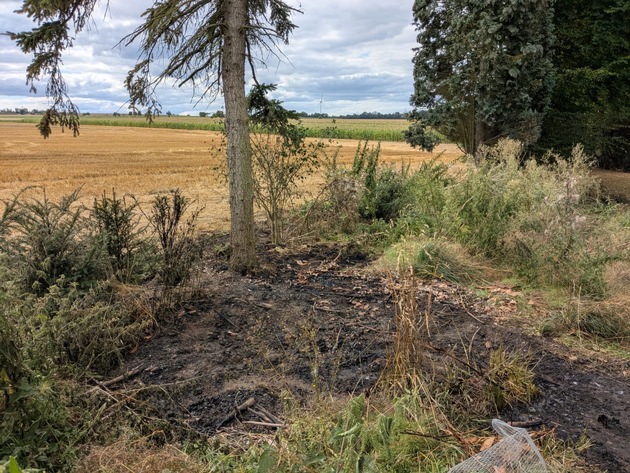 FW Ense: gemeldeter Flächenbrand in Sieveringen / schnelles Eingreifen der Feuerwehr verhindert Schlimmeres