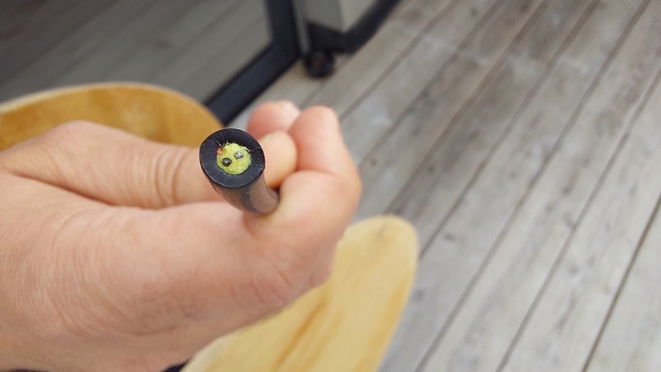 The eyes and ears of AI