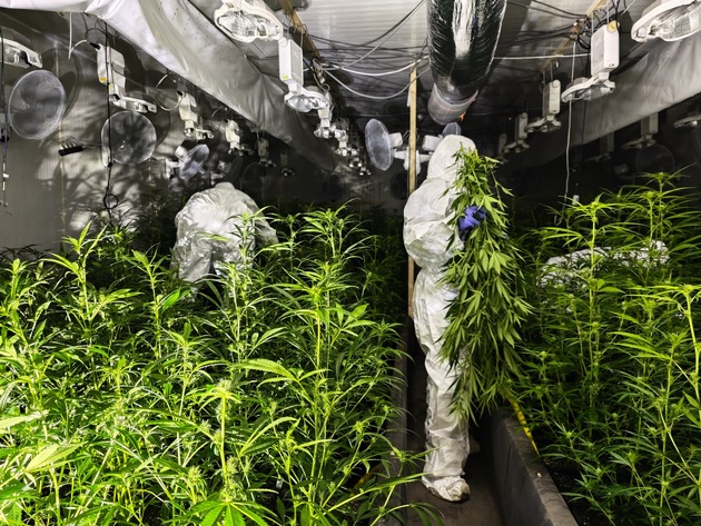 POL-UN: Bergkamen - Polizei entdeckt Cannabisplantage in Lagerhalle