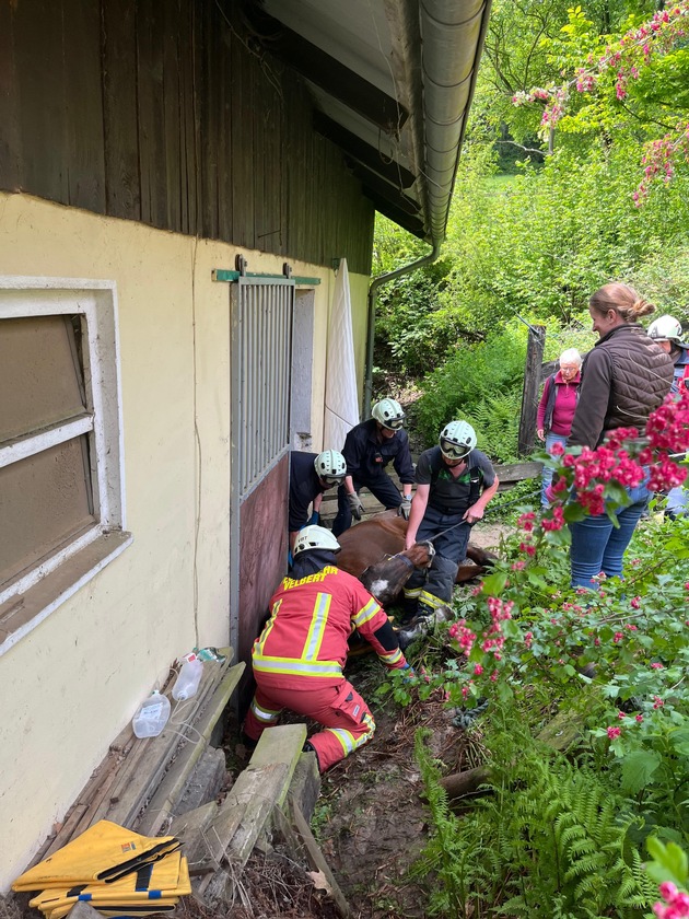 FW-Velbert: Pferd aus misslicher Lage befreit