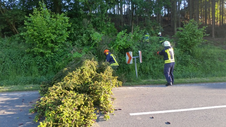 FW Lügde: Baum droht auf Fahrbahn zu fallen