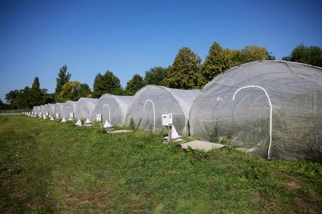 Studie: Lichtverschmutzung ver&auml;ndert Nahrungsnetze an Flussufern