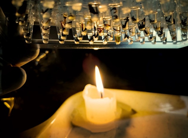 Nature-Studie: Klimawandel bringt tropische Insekten an ihre Hitzegrenze