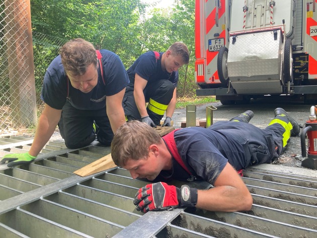 FW-F: Adlerblick und Teamgeist: Feuerwehr Frankfurt rettet Bussard &quot;Hugo&quot; aus misslicher Lage