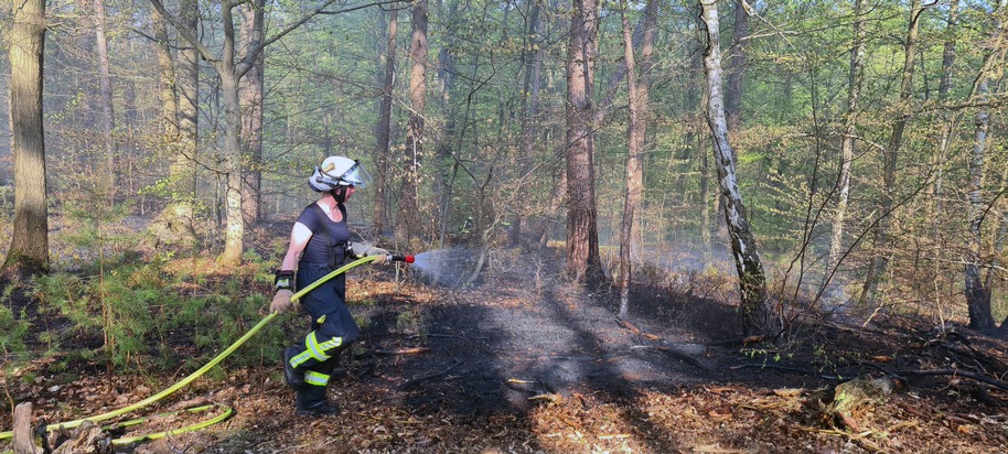 FW Lüchow-Dannenberg: Erster größerer Waldbrand in Nordost-Niedersachsen in diesem Jahr +++ Passant entdeckt Rauchwolke von der anderen Elbseite aus +++ Löscharbeiten beschäftigten über 70 ehrenamtliche Einsatzkräfte