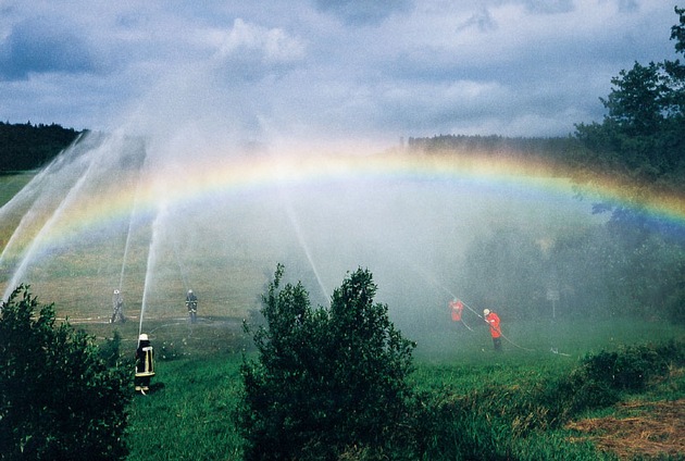 DFV: DFV unterstützt Aktion »Regenbogen 2004«