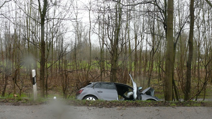 POL-DN: Fahrt endet am Baum