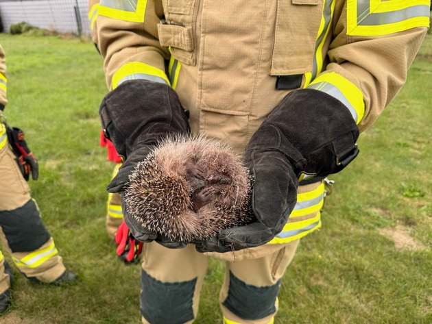 FW Alpen: Igel aus misslicher Lage befreit