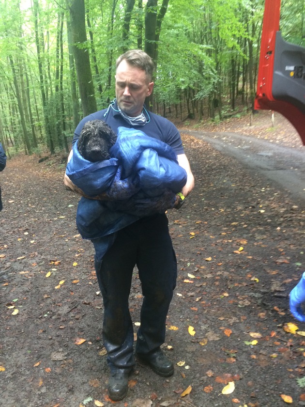 FW-EN: Hattinger Feuerwehr rettet eingesunken Hund aus Bachlauf