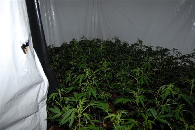 BKA: Staatsanwaltschaft Kleve und Bundeskriminalamt teilen mit: Erfolgreicher Schlag gegen Rauschgifthändler - Cannabis-Indoorplantagen ausgehoben