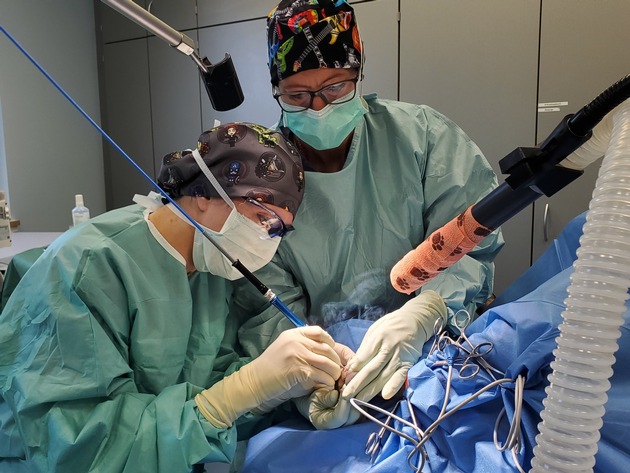 AniCura Kleintierspezialisten Augsburg erweitert Spektrum: Spezialisiertes Dermatologie-Team für anspruchsvolle Haut-, Ohren- und Krallenfälle