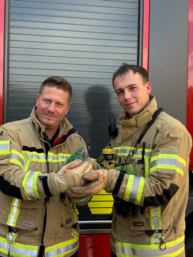 FW Konstanz: Feuerwehr rettet Chamäleon aus Baum