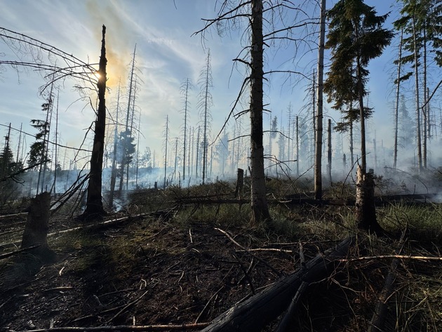 FW Kreis Soest: Erste Folgemeldung Waldbrand Möhnesee